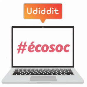 Écosoc - Le citoyen et l'État - Accès Udiddit Prof